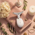 Sculpteur de Visage